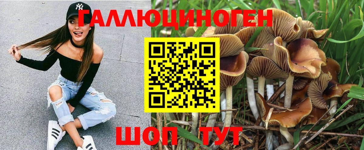 Галлюциногенные грибы Psilocybine cubensis  Вход с VPN  Павловский Посад 